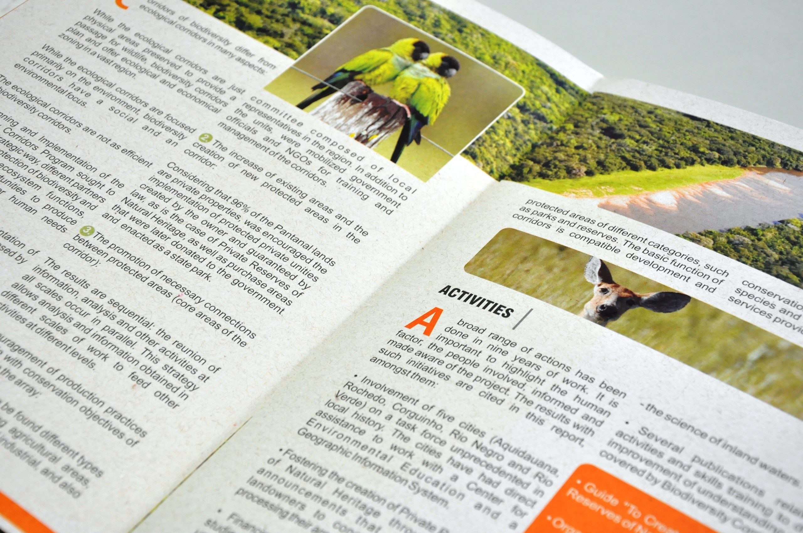 Read more about the article Revista Conservation Internacional
